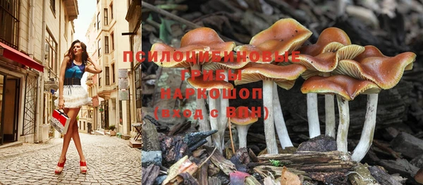 гашик Алзамай
